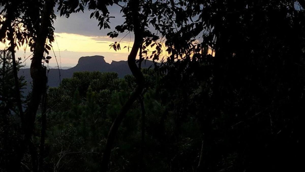 Chale Dos Tucanos- Parede De Vidro Com Linda Vista Campos do Jordão Buitenkant foto